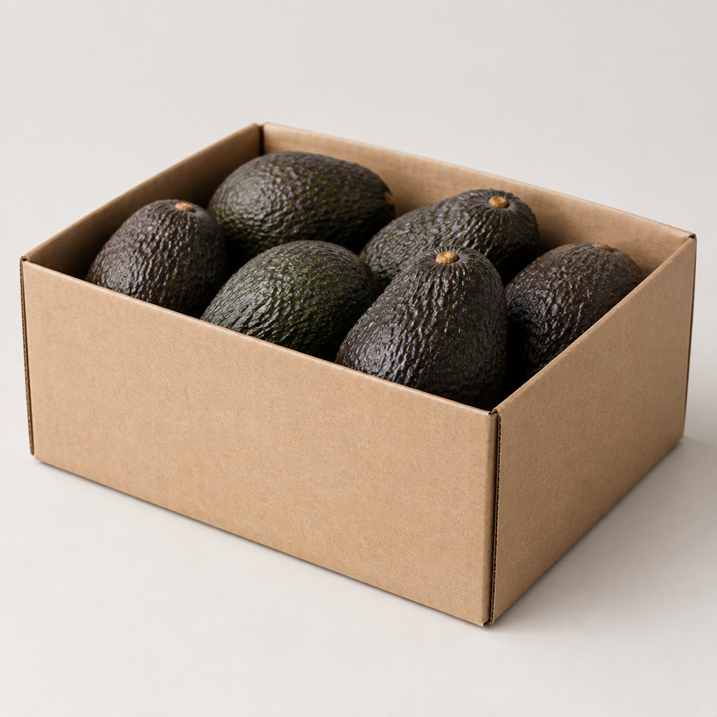 Box Avocado Hass